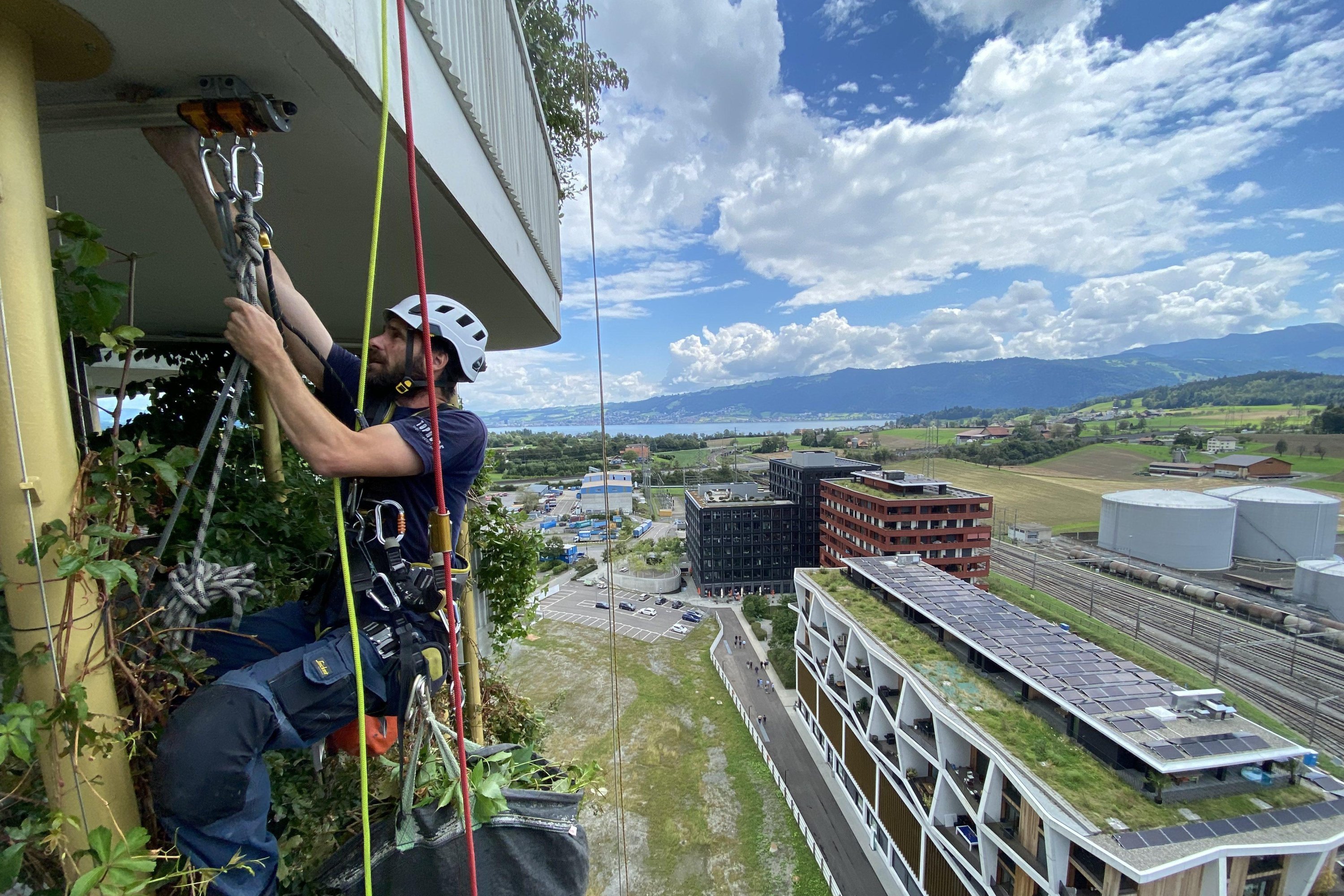 Grünpflege an Fassade  – Toprope